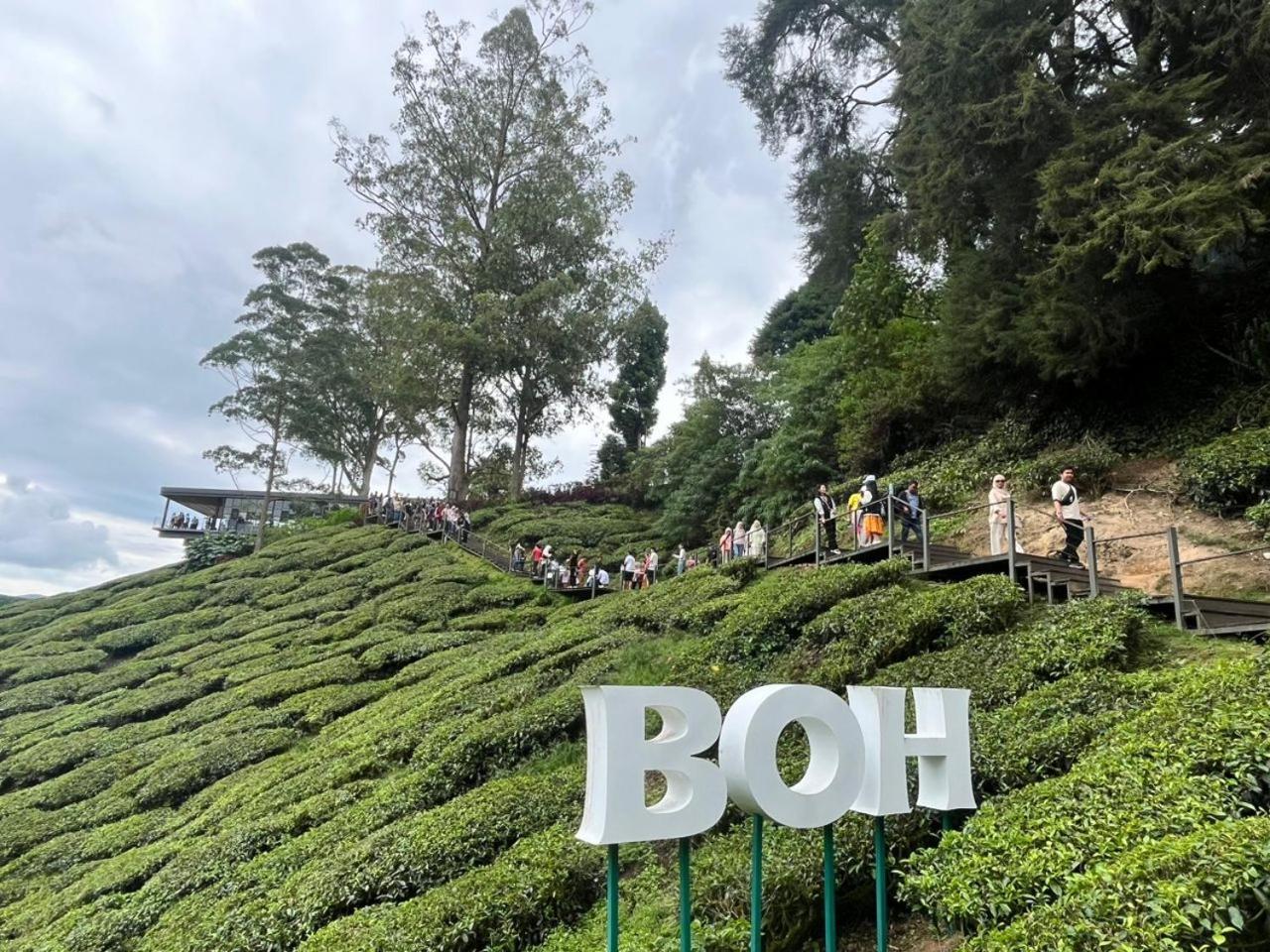 Nova Mountain N Sunrise View Hilltop In Cameron Highlands